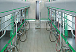 Auto Tandem - click for more
