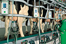 Herringbone Parlour - Euroclass 800/850 - click for large image -
