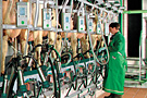 Herringbone Parlour - Euroclass 800/850 - click for large image -
