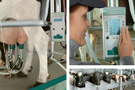 Herringbone Parlour - Euroclass 800 RE - click for large image -